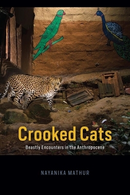 Crooked Cats - Nayanika Mathur