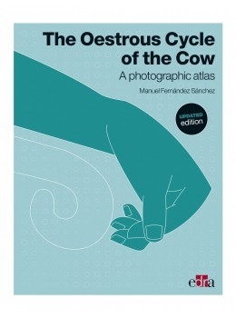 The Oestrous Cycle of the Cow - Manuel Fernández Sánchez