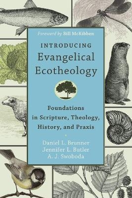 Introducing Evangelical Ecotheology – Foundations in Scripture, Theology, History, and Praxis - Daniel L. Brunner, Jennifer L. Butler, A. J. Swoboda, Bill McKibben