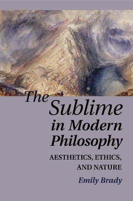 The Sublime in Modern Philosophy - Emily Brady