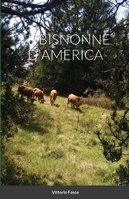 Le Bisnonne d'America - Vittorio Fasce