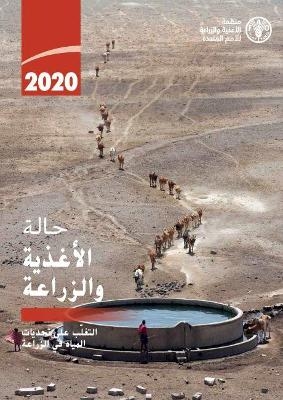 The State of Food and Agriculture 2020 (Arabic Edition)