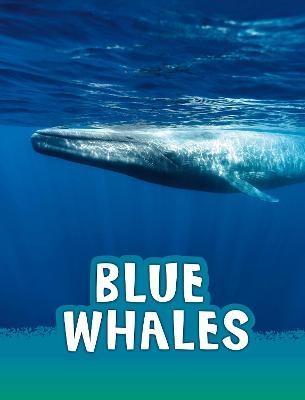 Blue Whales - Mari Schuh