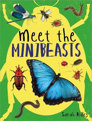 Meet the Minibeasts - Sarah Ridley