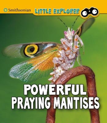 Powerful Praying Mantises - Melissa Higgins