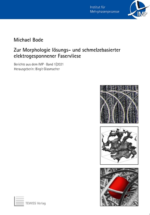 Zur Morphologie lösungs- und schmelzbasierter elektrogesponnener Faservliese - Michael Bode