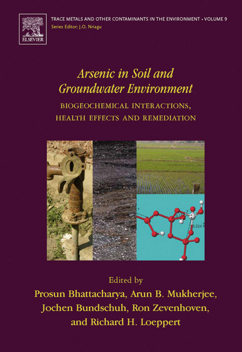 Arsenic in Soil and Groundwater Environment - 