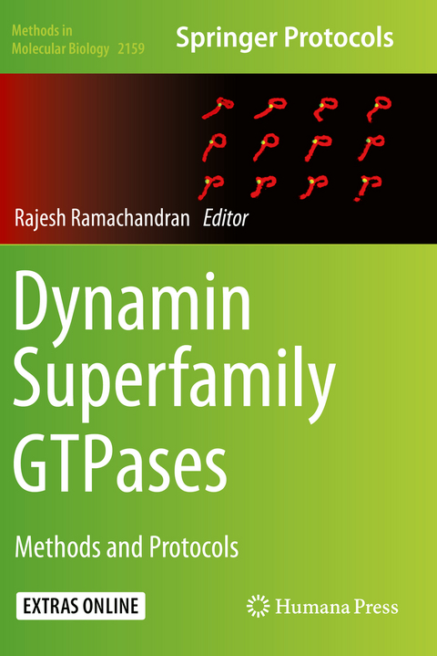 Dynamin Superfamily GTPases - 