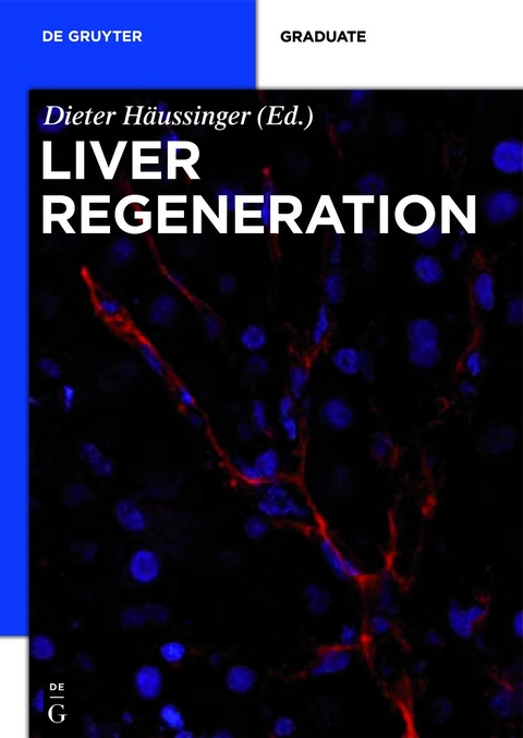 Liver Regeneration - 