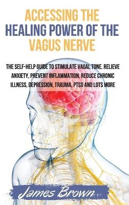 Accessing the Healing Power of the Vagus Nerve - James Brown