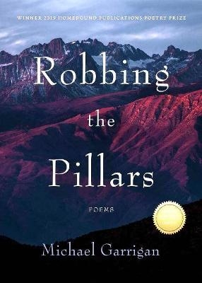 Robbing the Pillars - Michael Garrigan