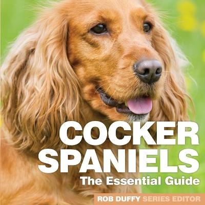 Cocker Spaniels - 