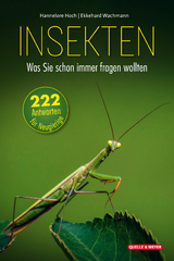 Insekten – Was Sie schon immer fragen wollten - Hannelore Hoch, Ekkehard Wachmann