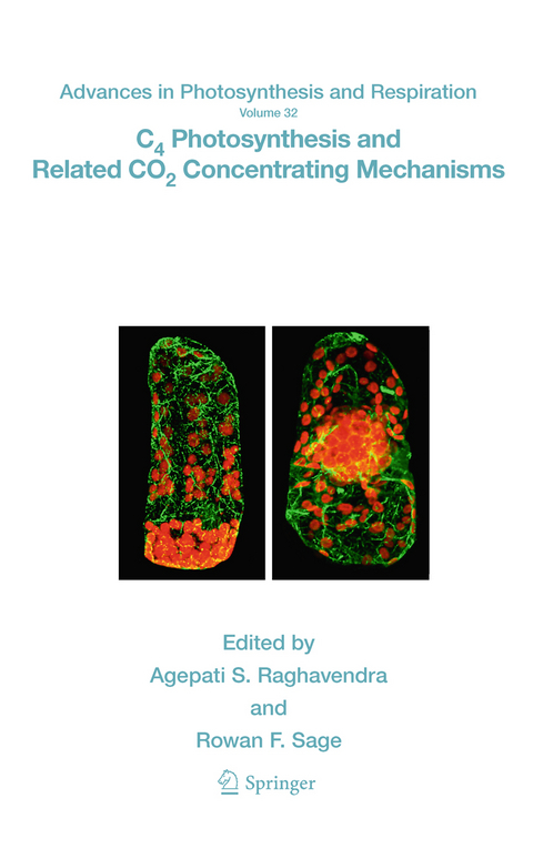 C4 Photosynthesis and Related CO2 Concentrating Mechanisms - 