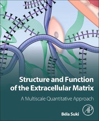 Structure and Function of the Extracellular Matrix - Bela Suki