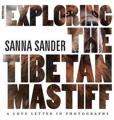 Exploring the Tibetan Mastiff - 