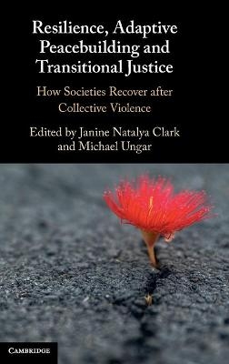 Resilience, Adaptive Peacebuilding and Transitional Justice - 
