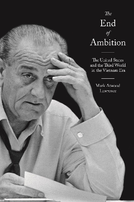 The End of Ambition - Mark Atwood Lawrence