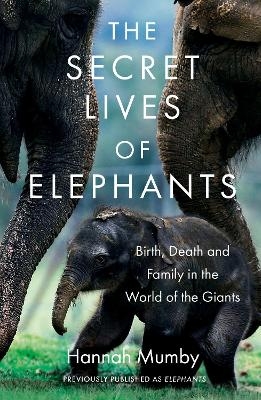 The Secret Lives of Elephants - Hannah Mumby
