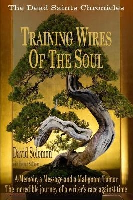 TRAINING WIRES OF THE SOUL The Dead Saints Chronicles - Delynn Solomon, David Solomon