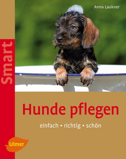 Hunde pflegen - Anna Laukner