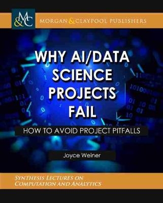 Why AI/Data Science Projects Fail - Joyce Weiner
