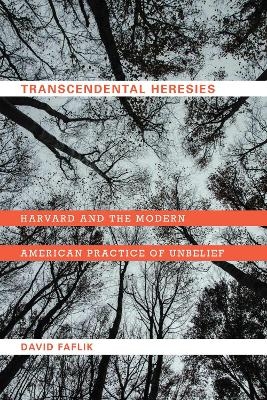 Transcendental Heresies - David Faflik