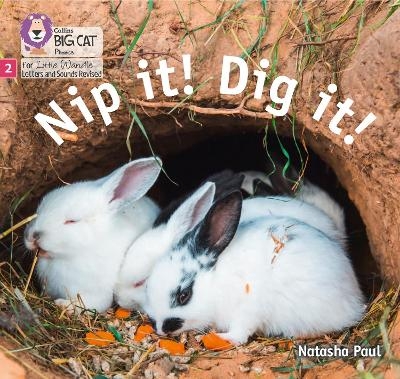 Nip it! Dig it! - Natasha Paul