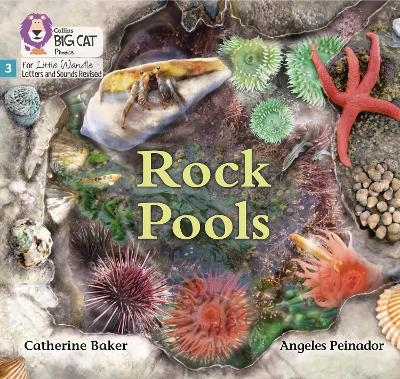 Rock Pools - Catherine Baker