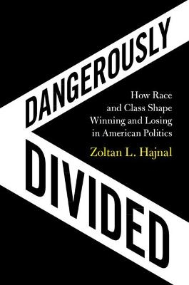 Dangerously Divided - Zoltan L. Hajnal