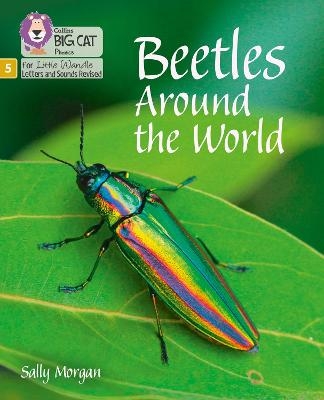 Beetles Around the World - Sally Morgan
