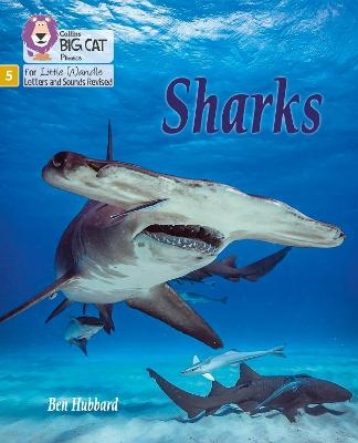 Sharks - Ben Hubbard