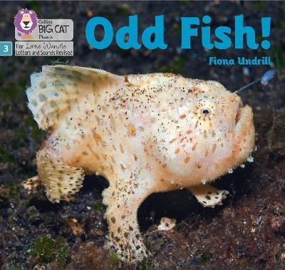 Odd Fish! - Fiona Undrill