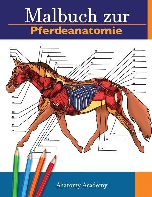 Malbuch zur Pferdeanatomie - Anatomy Academy