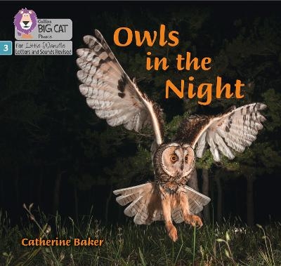 Owls in the Night - Catherine Baker