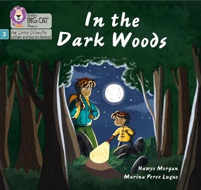 In the Dark Woods - Hawys Morgan