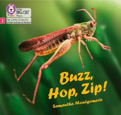Buzz, Hop, Zip! - Samantha Montgomerie