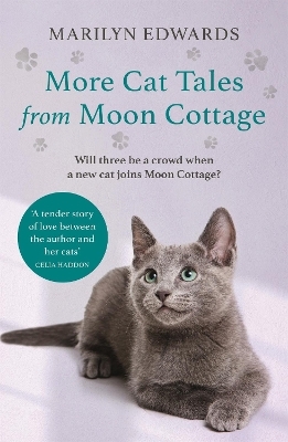 More Cat Tales From Moon Cottage - Marilyn Edwards