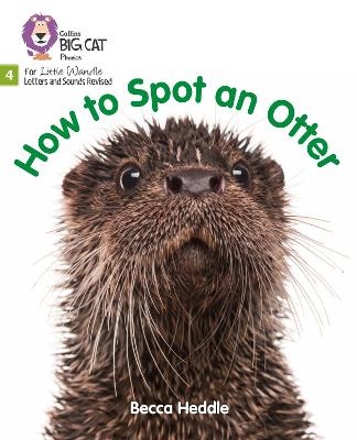 How to Spot an Otter - Becca Heddle