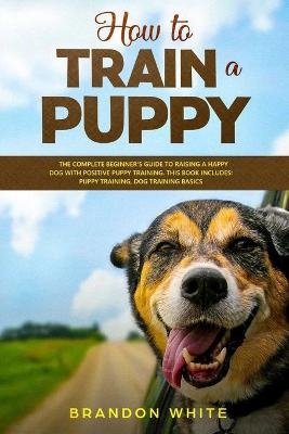 How to Train a Puppy - Brandon White