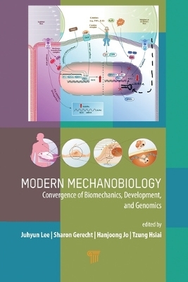 Modern Mechanobiology - 