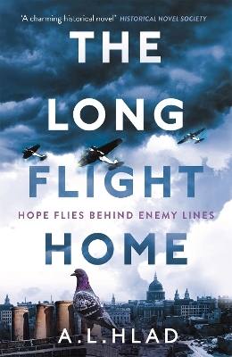 The Long Flight Home - A.L. Hlad