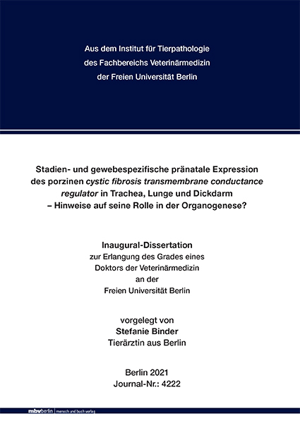 Entwicklung und Evaluierung neuer niedrig-molekularer Sonden für die Charakterisierung von Gefäßerkrankungen mittels der Magnetresonanztomographie (MRT) - Carolin Reimann