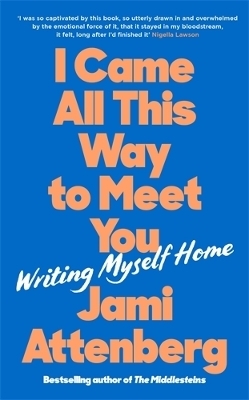 I Came All This Way to Meet You - Jami Attenberg