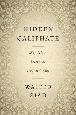 Hidden Caliphate - Waleed Ziad