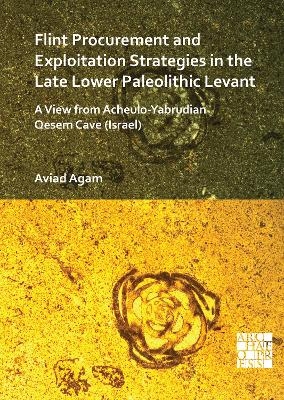 Flint Procurement and Exploitation Strategies in the Late Lower Paleolithic Levant - Dr Aviad Agam