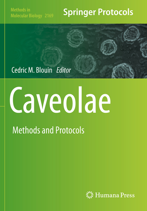 Caveolae - 