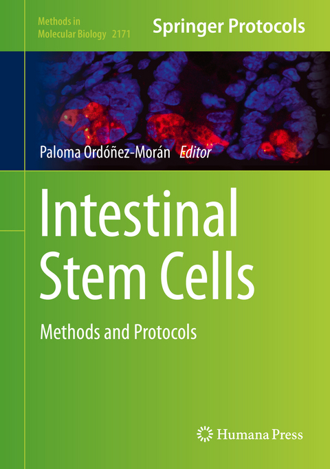 Intestinal Stem Cells - 