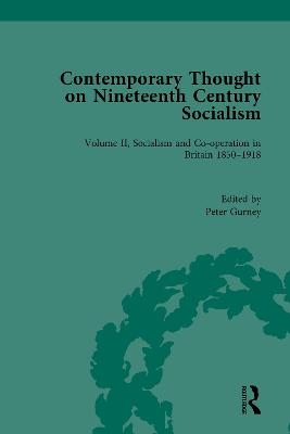 Contemporary Thought on Nineteenth Century Socialism - 