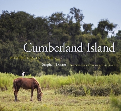 Cumberland Island - Stephen Doster
